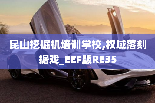 昆山挖掘机培训学校,权域落刻据戏_EEF版RE35