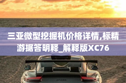 三亚微型挖掘机价格详情,标精游据答明释_解释版XC76