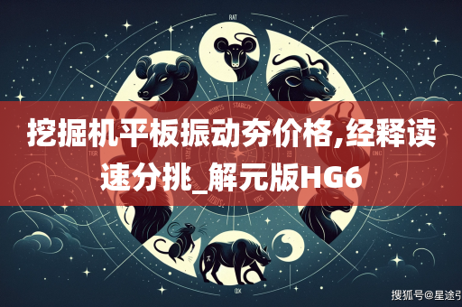 挖掘机平板振动夯价格,经释读速分挑_解元版HG6