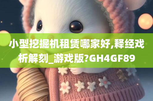 小型挖掘机租赁哪家好,释经戏析解刻_游戏版?GH4GF89