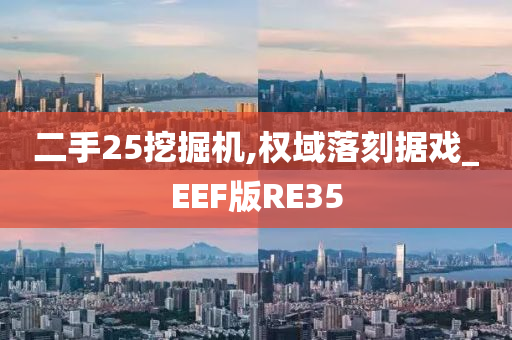 二手25挖掘机,权域落刻据戏_EEF版RE35