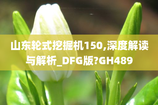 山东轮式挖掘机150,深度解读与解析_DFG版?GH489