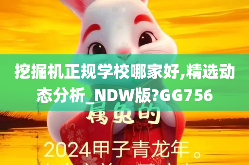 挖掘机正规学校哪家好,精选动态分析_NDW版?GG756