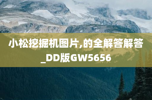 小松挖掘机图片,的全解答解答_DD版GW5656