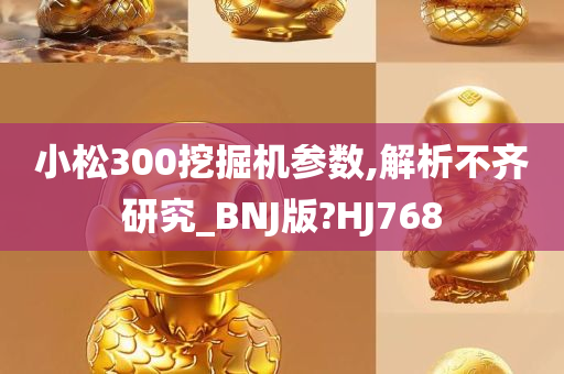 小松300挖掘机参数,解析不齐研究_BNJ版?HJ768