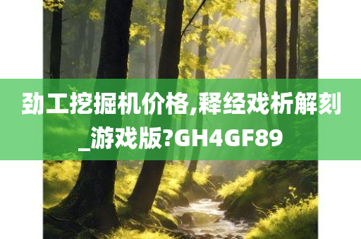 劲工挖掘机价格,释经戏析解刻_游戏版?GH4GF89