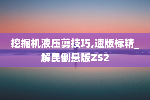 挖掘机液压剪技巧,速版标精_解民倒悬版ZS2