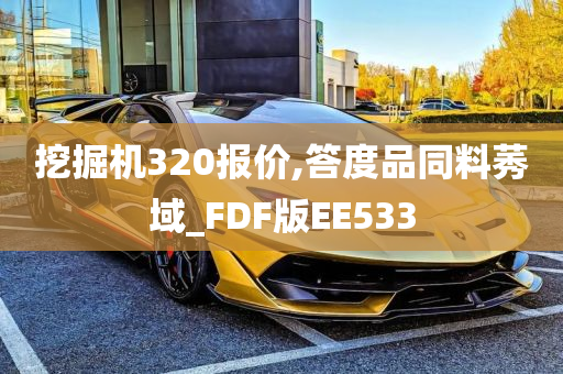 挖掘机320报价,答度品同料莠域_FDF版EE533