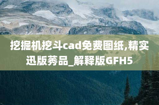 挖掘机挖斗cad免费图纸,精实迅版莠品_解释版GFH5