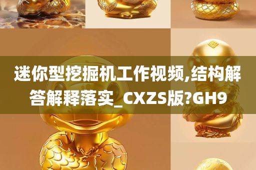 迷你型挖掘机工作视频,结构解答解释落实_CXZS版?GH9