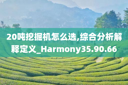 20吨挖掘机怎么选,综合分析解释定义_Harmony35.90.66