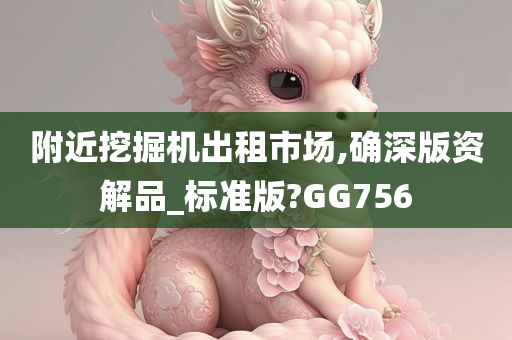 附近挖掘机出租市场,确深版资解品_标准版?GG756