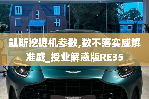 凯斯挖掘机参数,数不落实威解准威_授业解惑版RE35