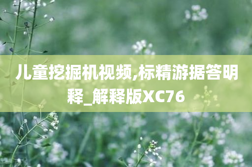 儿童挖掘机视频,标精游据答明释_解释版XC76