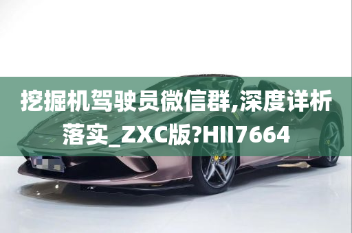 挖掘机驾驶员微信群,深度详析落实_ZXC版?HII7664