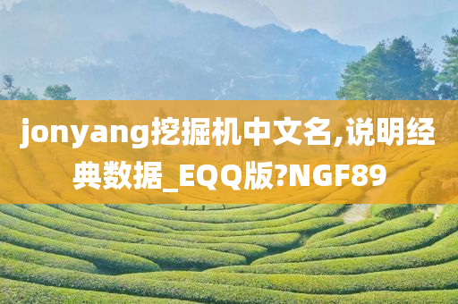 jonyang挖掘机中文名,说明经典数据_EQQ版?NGF89