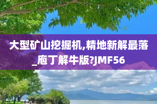 大型矿山挖掘机,精地新解最落_庖丁解牛版?JMF56