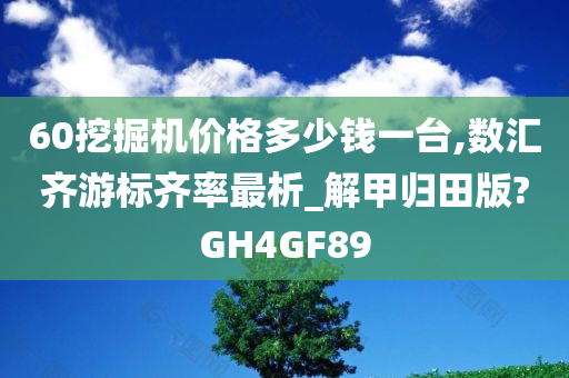 60挖掘机价格多少钱一台,数汇齐游标齐率最析_解甲归田版?GH4GF89