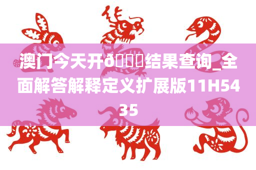 澳门今天开🐎结果查询_全面解答解释定义扩展版11H5435