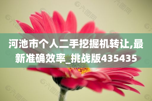 河池市个人二手挖掘机转让,最新准确效率_挑战版435435