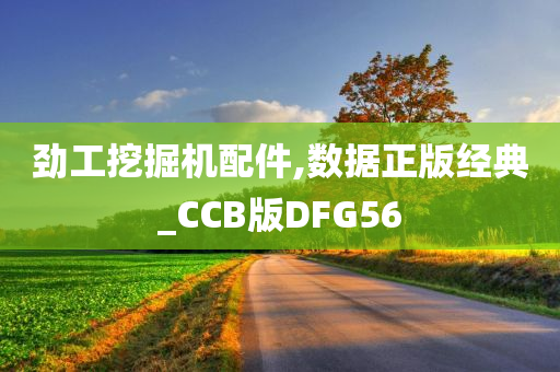 劲工挖掘机配件,数据正版经典_CCB版DFG56