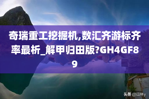 奇瑞重工挖掘机,数汇齐游标齐率最析_解甲归田版?GH4GF89