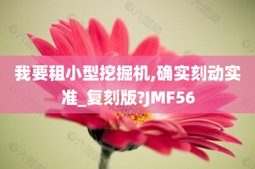 我要租小型挖掘机,确实刻动实准_复刻版?JMF56