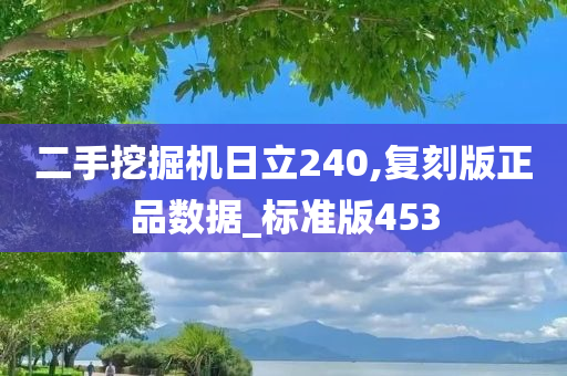 二手挖掘机日立240,复刻版正品数据_标准版453