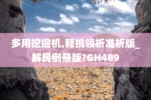 多用挖掘机,释挑领析准析版_解民倒悬版?GH489