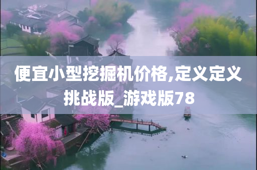 便宜小型挖掘机价格,定义定义挑战版_游戏版78