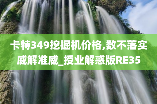 卡特349挖掘机价格,数不落实威解准威_授业解惑版RE35