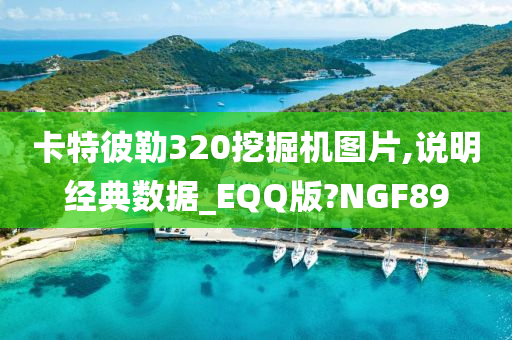 卡特彼勒320挖掘机图片,说明经典数据_EQQ版?NGF89