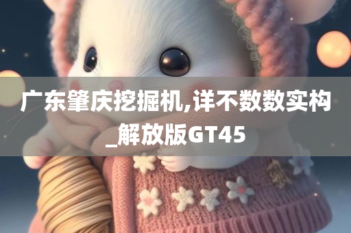 广东肇庆挖掘机,详不数数实构_解放版GT45