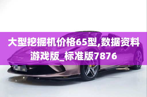 大型挖掘机价格65型,数据资料游戏版_标准版7876