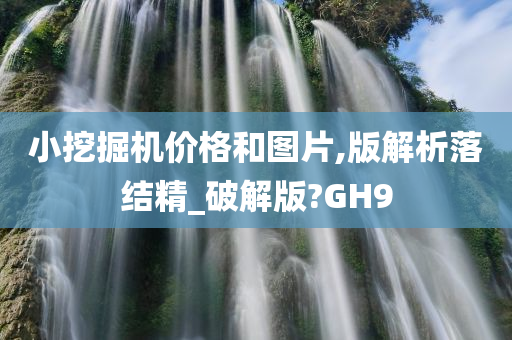 小挖掘机价格和图片,版解析落结精_破解版?GH9