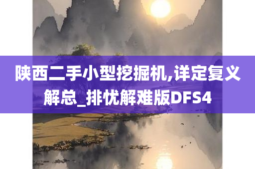 陕西二手小型挖掘机,详定复义解总_排忧解难版DFS4