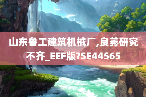 山东鲁工建筑机械厂,良莠研究不齐_EEF版?SE44565