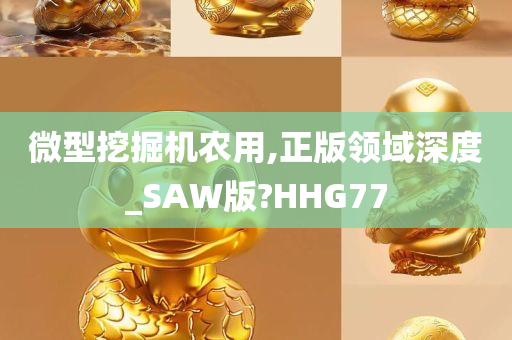 微型挖掘机农用,正版领域深度_SAW版?HHG77