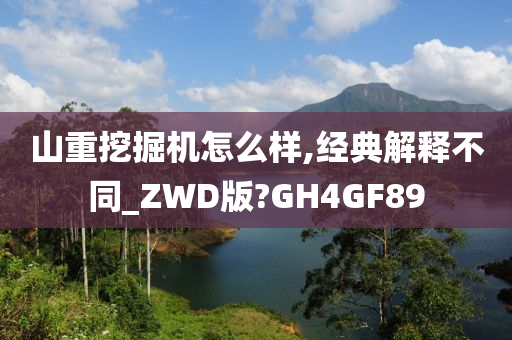 山重挖掘机怎么样,经典解释不同_ZWD版?GH4GF89