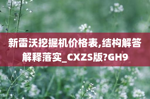 新雷沃挖掘机价格表,结构解答解释落实_CXZS版?GH9