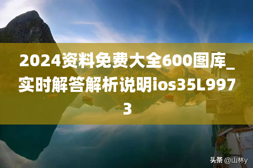 2024资料免费大全600图库_实时解答解析说明ios35L9973