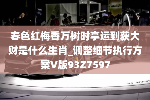 春色红梅香万树时享运到获大财是什么生肖_调整细节执行方案V版93Z7597