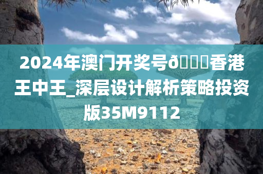 2024年澳门开奖号🐎香港王中王_深层设计解析策略投资版35M9112