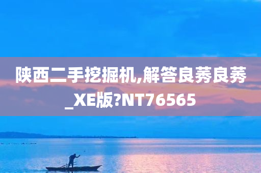 陕西二手挖掘机,解答良莠良莠_XE版?NT76565