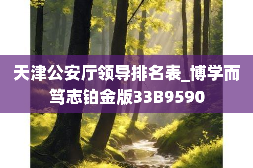 天津公安厅领导排名表_博学而笃志铂金版33B9590