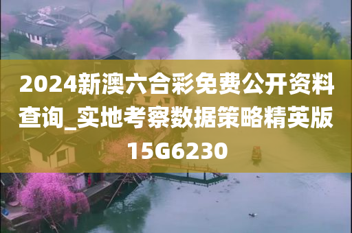 2024新澳六合彩免费公开资料查询_实地考察数据策略精英版15G6230