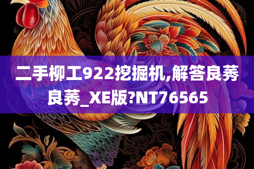 二手柳工922挖掘机,解答良莠良莠_XE版?NT76565