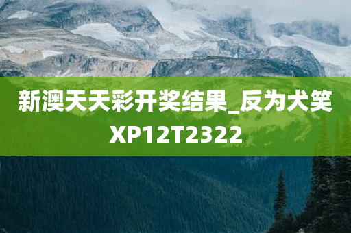 新澳天天彩开奖结果_反为犬笑XP12T2322