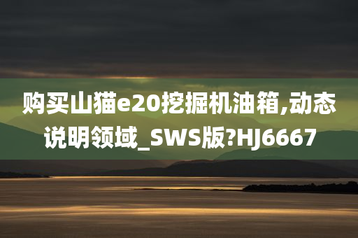 购买山猫e20挖掘机油箱,动态说明领域_SWS版?HJ6667