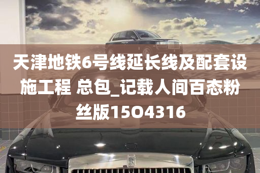 天津地铁6号线延长线及配套设施工程 总包_记载人间百态粉丝版15O4316